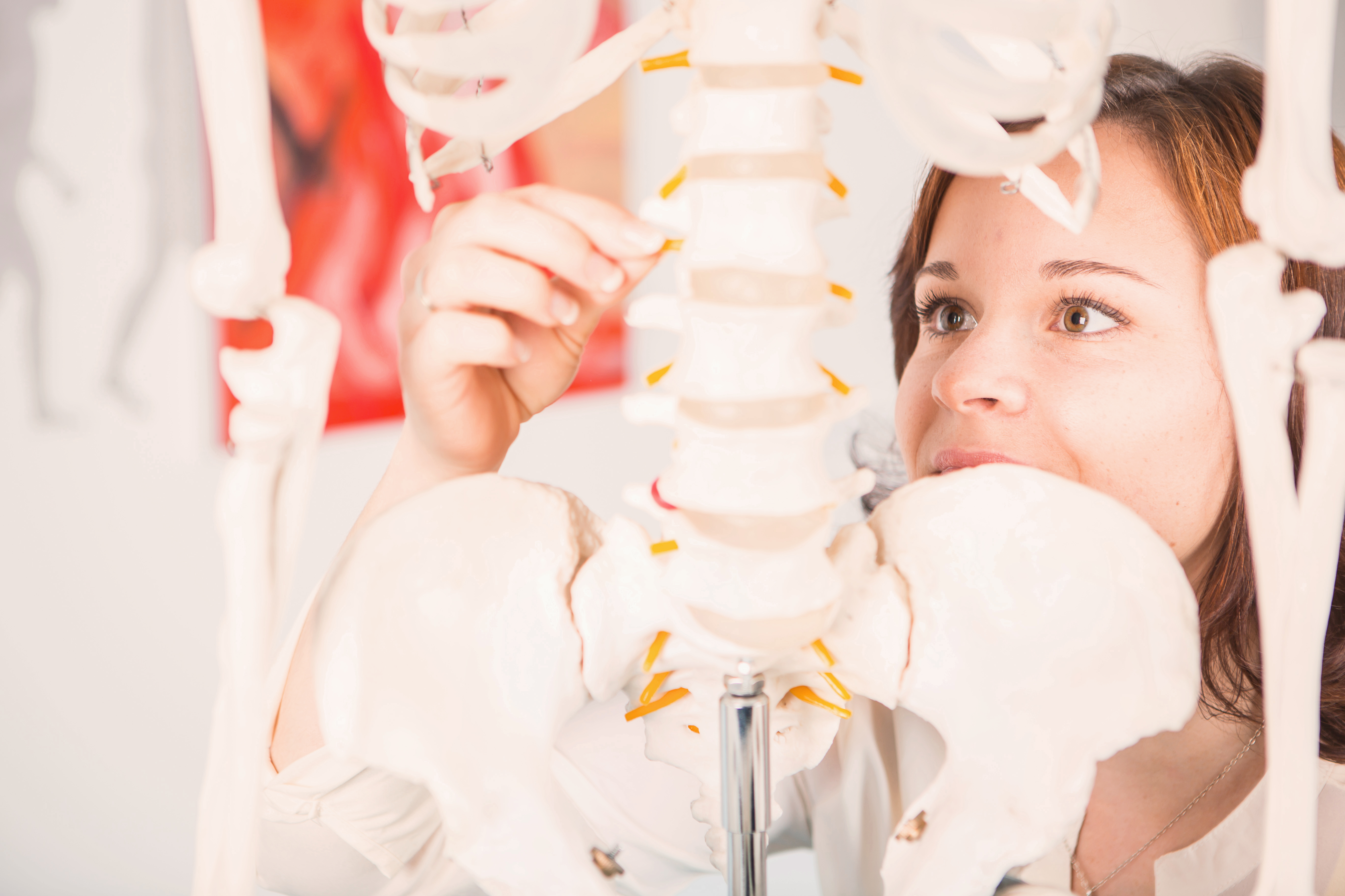 A person is examining an anatomical skeleton model while adjusting a spine. The environment is bright and features medical illustrations in the background. The person is wearing a light blouse and has brown hair.