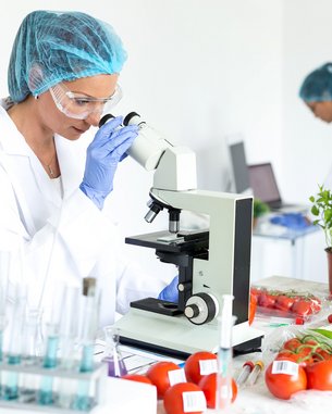 Eine Wissenschaftlerin untersucht mit einem Mikroskop frisches Gemüse, darunter Tomaten und Salat. Im Hintergrund sind Reagenzgläser und weitere Pflanzen zu sehen, die für die Forschung verwendet werden.