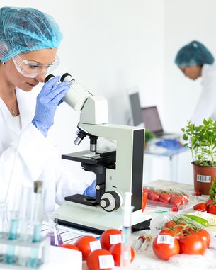 Eine Wissenschaftlerin untersucht mit einem Mikroskop frisches Gemüse, darunter Tomaten und Salat. Im Hintergrund sind Reagenzgläser und weitere Pflanzen zu sehen, die für die Forschung verwendet werden.