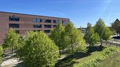 Grüne Bäume entlang eines Gehwegs vor einem modernen, mehrstöckigen Gebäude unter klarem blauen Himmel.