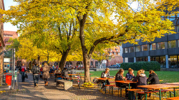 People are sitting at tables under yellow trees while others walk by. A sunny autumn day in an urban area.