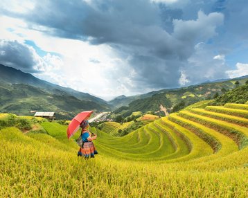 Eine Person mit einem roten Regenschirm steht inmitten von terrassierten Reisfeldern unter einem bewölkten Himmel.