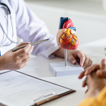 Ein Arzt erklärt einem Patienten ein anatomisches Modell des Herzens, während ein Formular auf dem Tisch liegt.