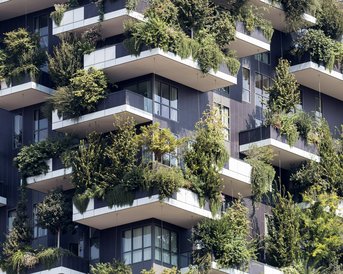 Balconies of a modern building, adorned with various plants and trees, create a green facade.