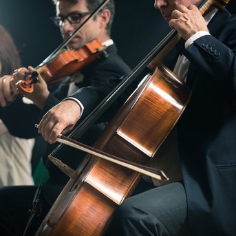 Musiker spielen in einem Ensemble, darunter ein Geiger, ein Cellist und eine Flötistin, während sie konzentriert musizieren.