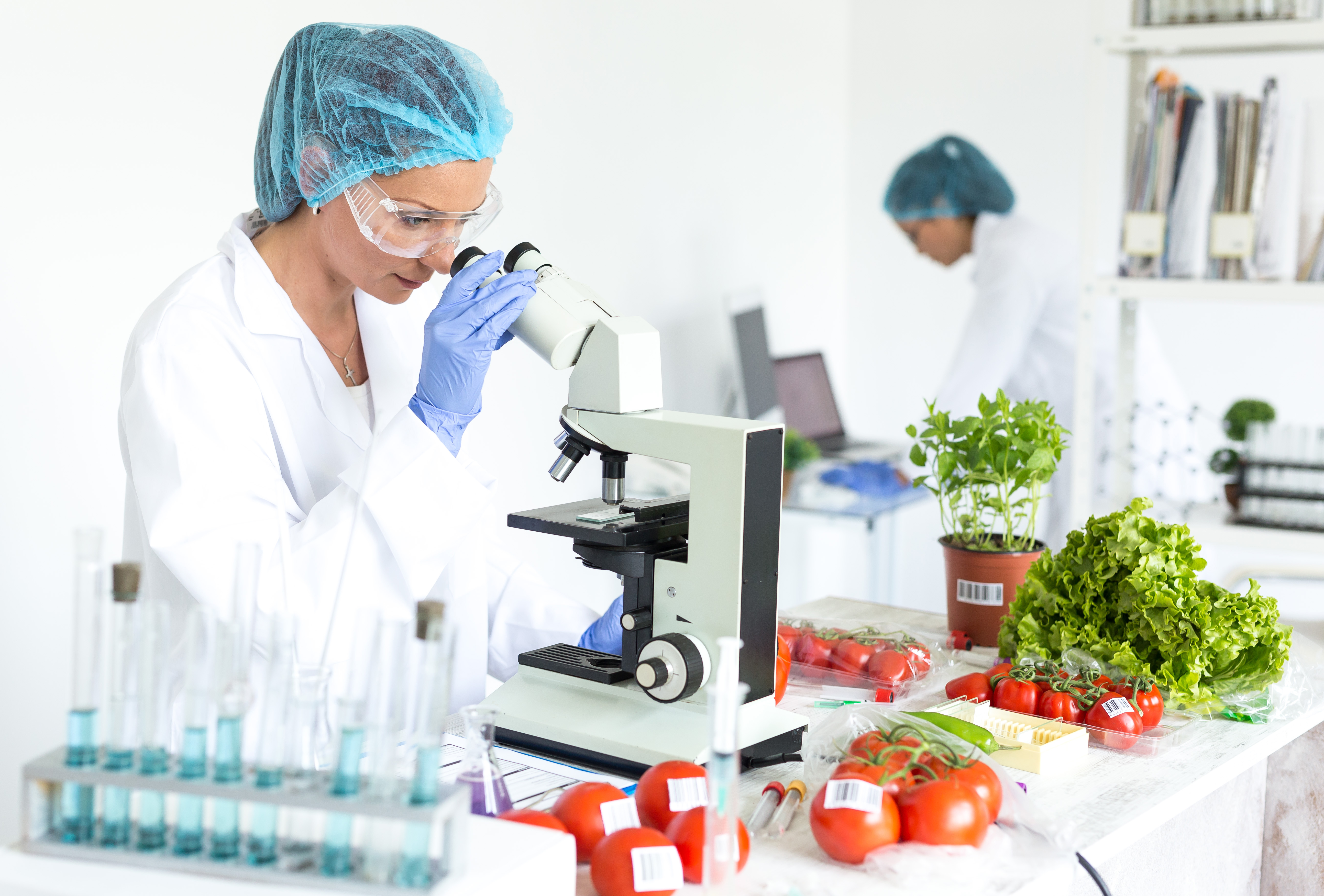 Eine Wissenschaftlerin untersucht mit einem Mikroskop frisches Gemüse, während eine andere Person im Hintergrund an einem Tisch arbeitet. Auf dem Tisch sind Tomaten, Salat und Kräuter verteilt.